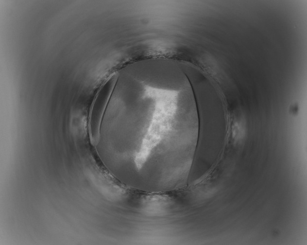 X0000113290716200909211104