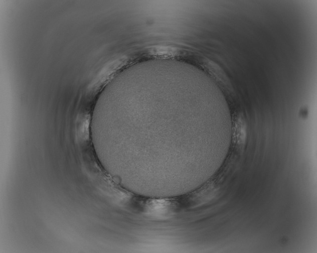 X0000113290717200909211104