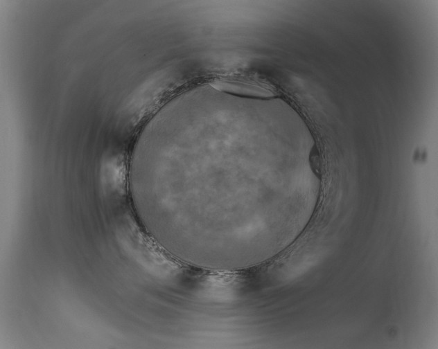 X0000113290720200909211103