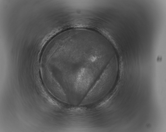 X0000113290721200909211103