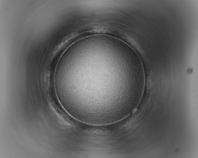 X0000113290722200909211103