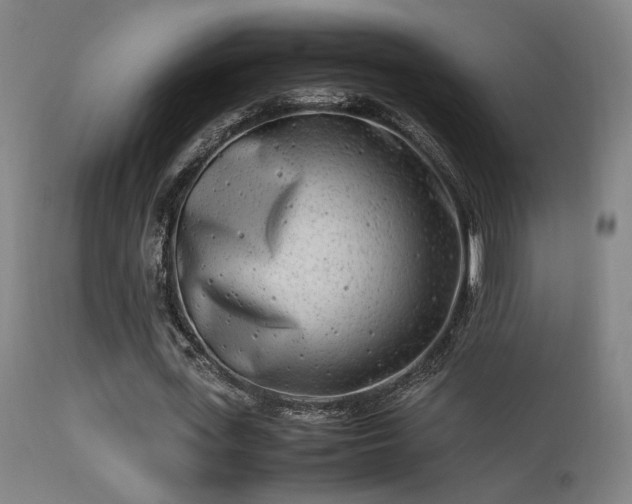 X0000113290723200909211103