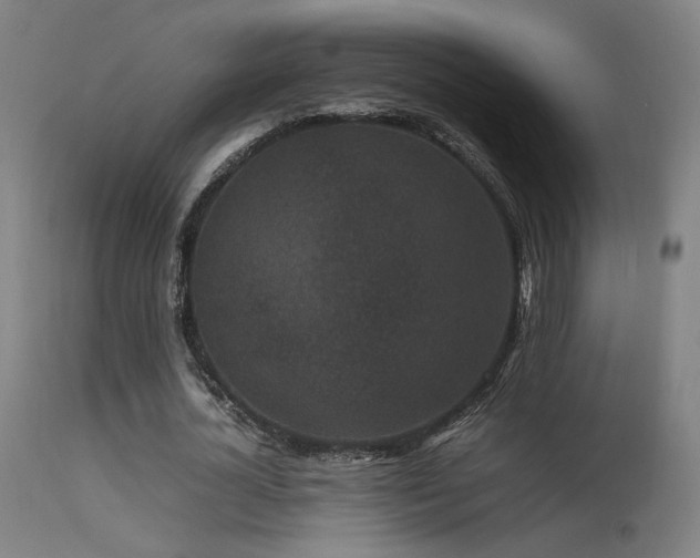 X0000113290724200909211103