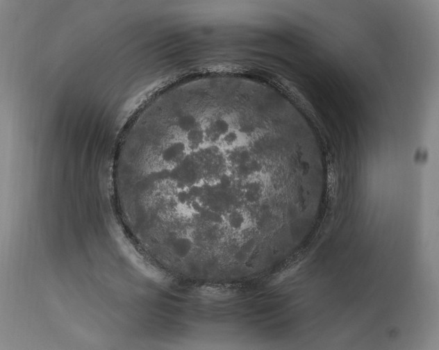 X0000113290725200909211103