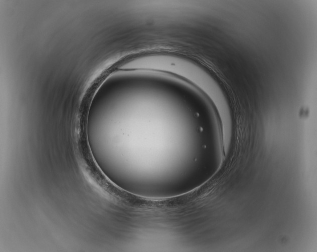 X0000113290726200909211103