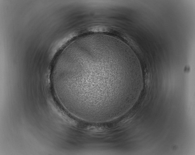 X0000113290727200909211103