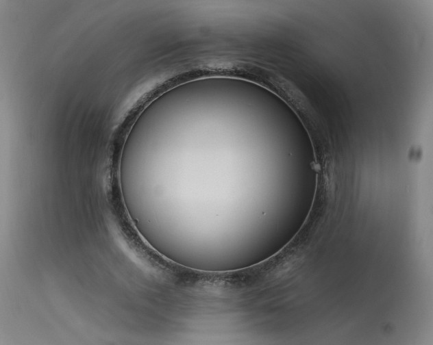 X0000113290728200909211103