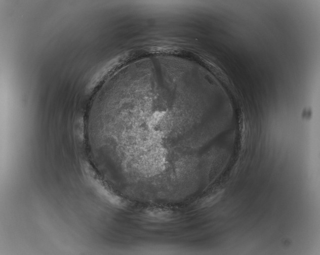 X0000113290729200909211103