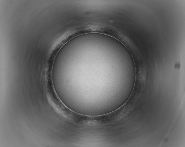 X0000113290730200909211103