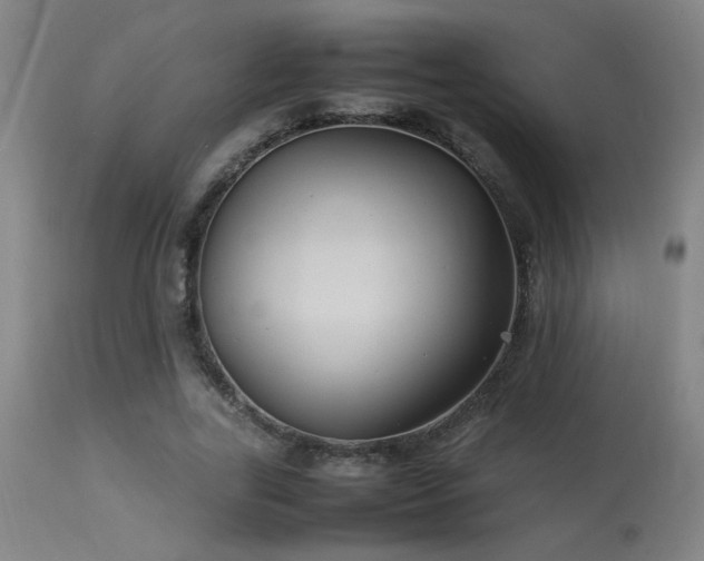 X0000113290731200909211103