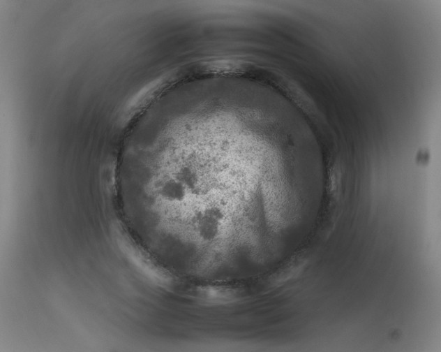 X0000113290733200909211103