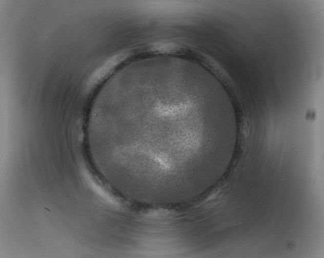 X0000113290734200909211103