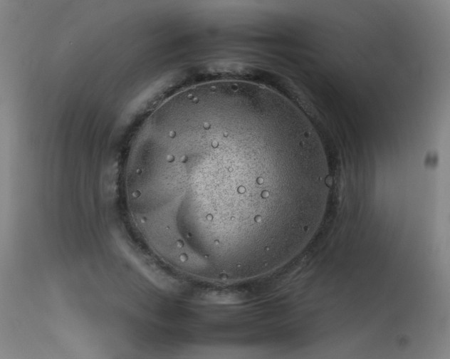 X0000113290735200909211103