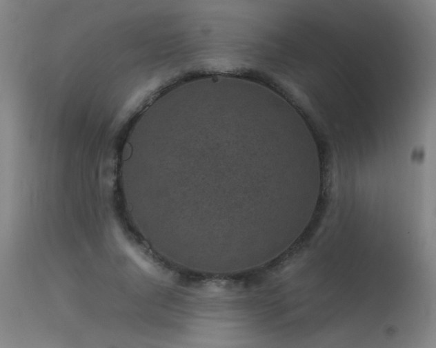 X0000113290736200909211103