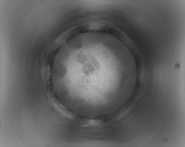 X0000113290737200909211103