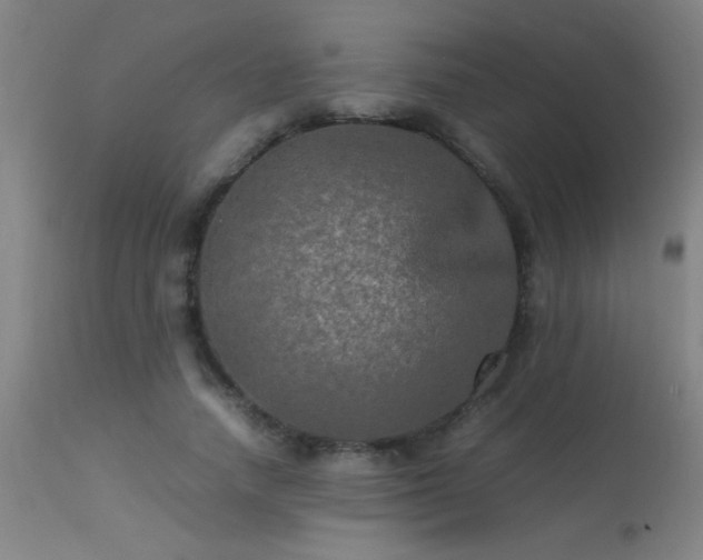 X0000113290738200909211103