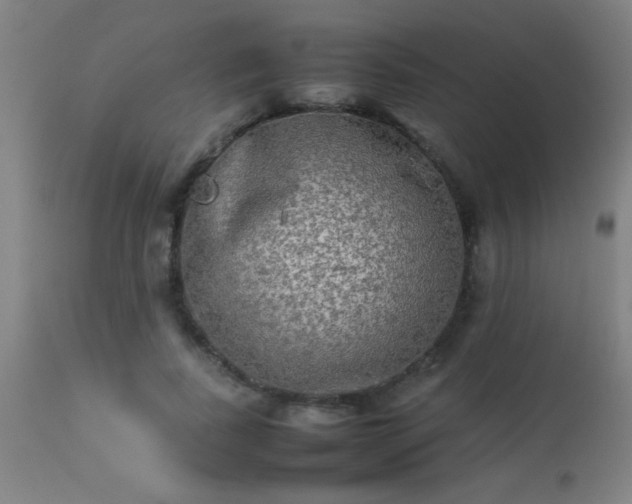 X0000113290739200909211103