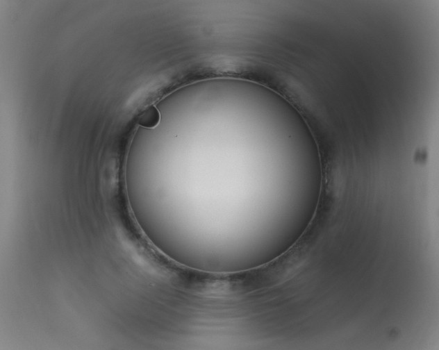 X0000113290740200909211103