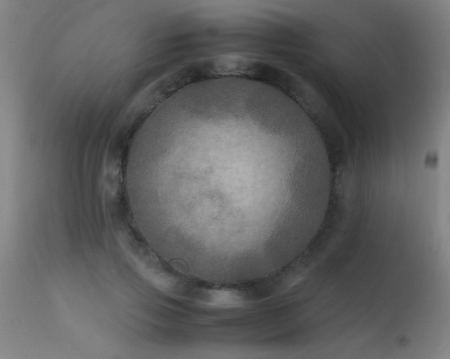 X0000113290741200909211103