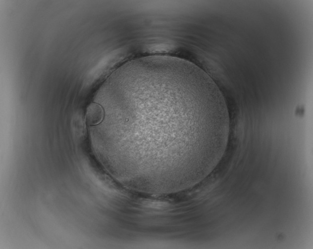 X0000113290743200909211103