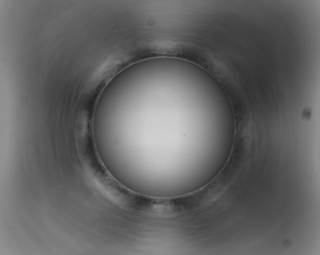 X0000113290744200909211103