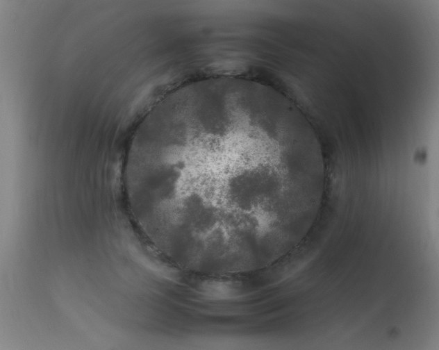 X0000113290745200909211103