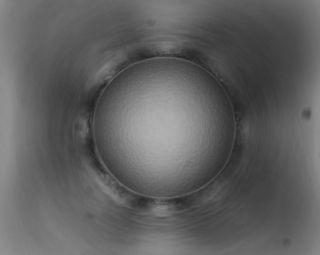 X0000113290746200909211103