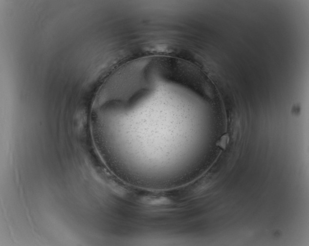 X0000113290747200909211103