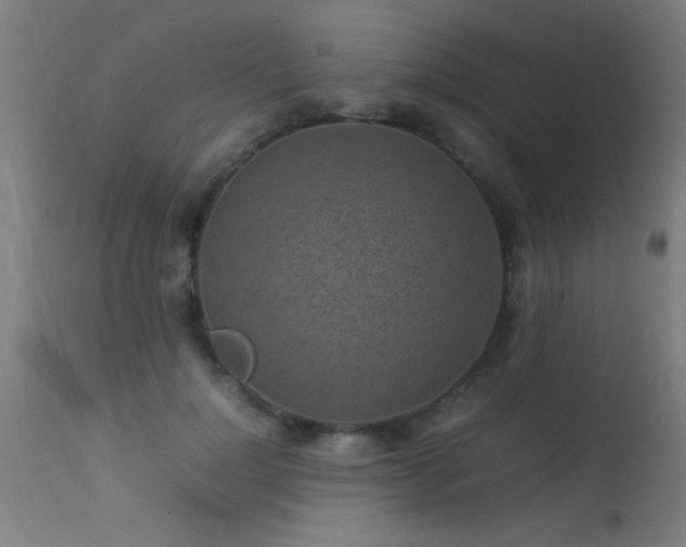 X0000113290748200909211103