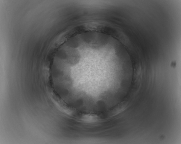 X0000113290749200909211103