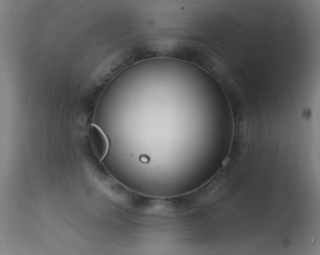 X0000113290750200909211103