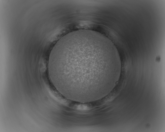 X0000113290751200909211103