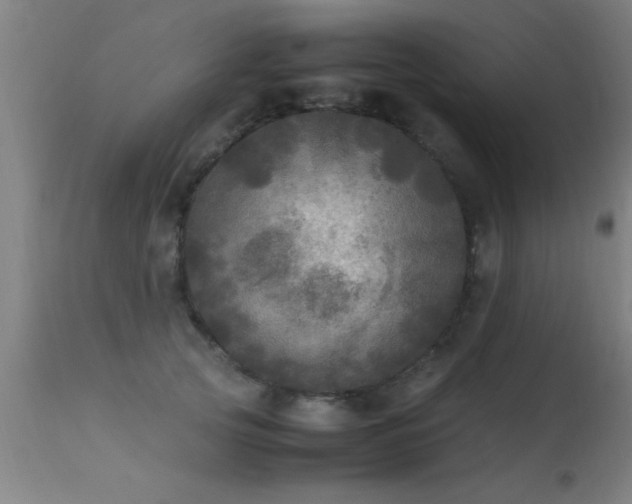 X0000113290753200909211103