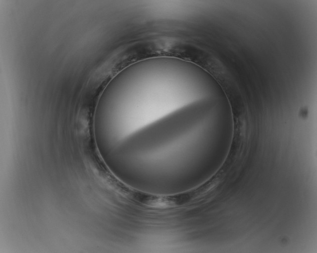 X0000113290754200909211103