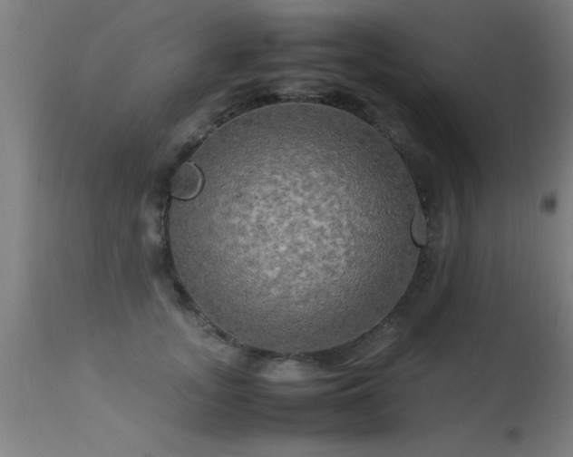 X0000113290755200909211103