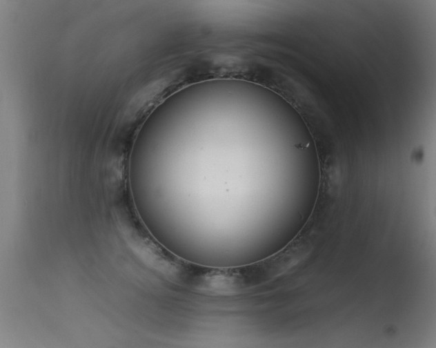 X0000113290756200909211103