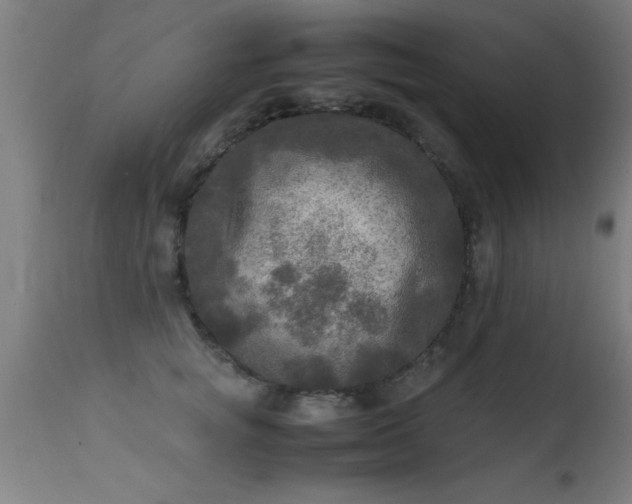 X0000113290757200909211103