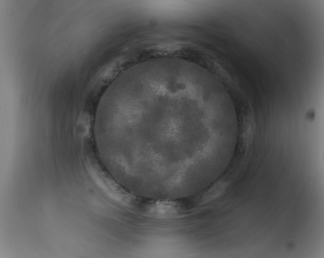 X0000113290758200909211103