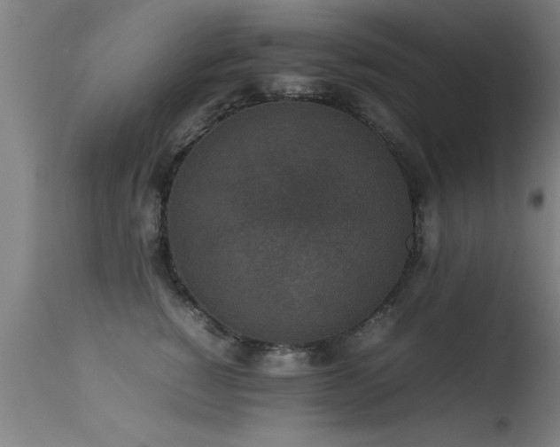 X0000113290760200909211103