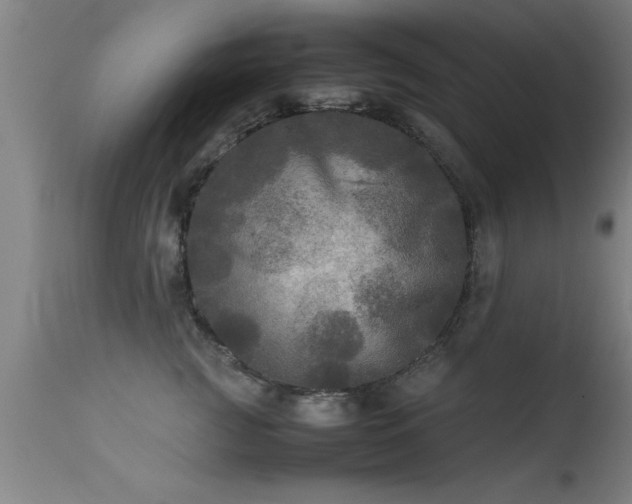 X0000113290761200909211103