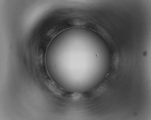 X0000113290762200909211103