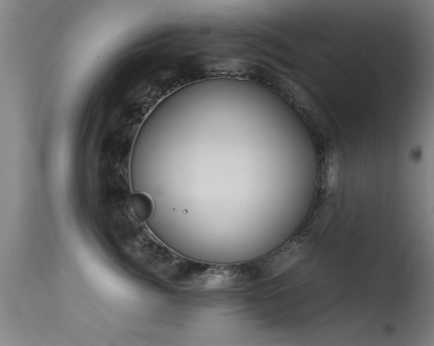 X0000113290764200909211103