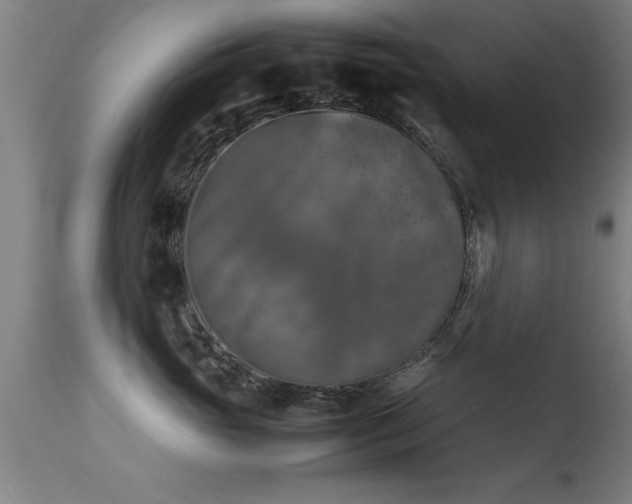 X0000113290765200909211103