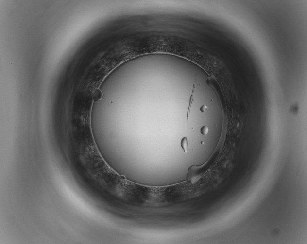 X0000113290766200909211103