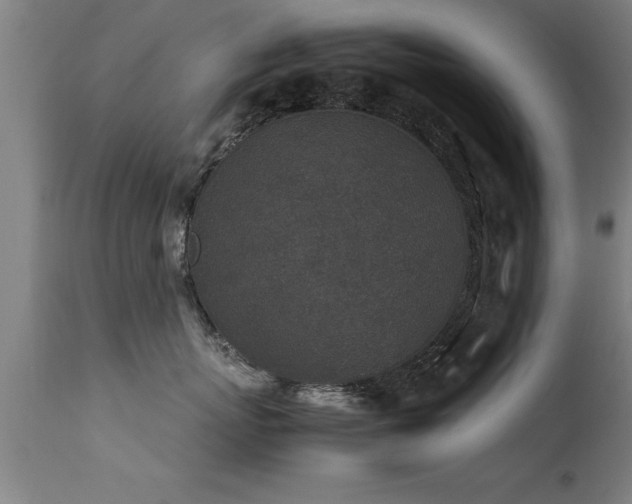 X0000113290767200909211103