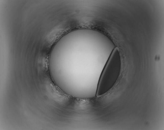 X0000113290768200909211103