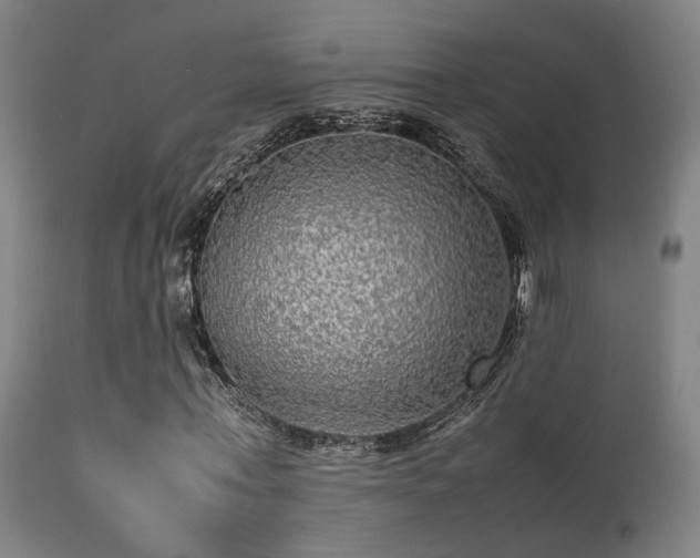 X0000113290771200909211103