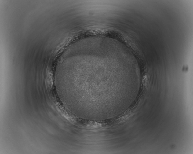 X0000113290772200909211103