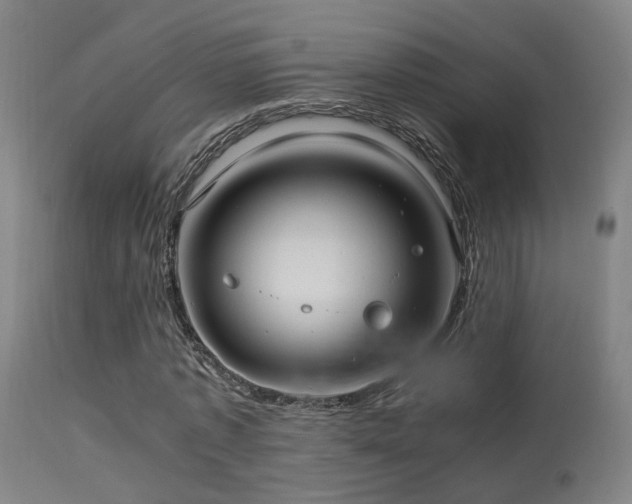 X0000113290773200909211103