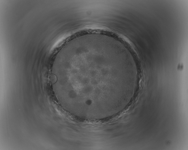 X0000113290775200909211103